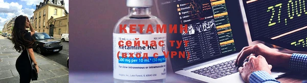 шишки Нея