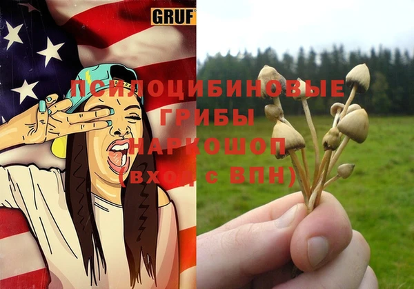 шишки Нея