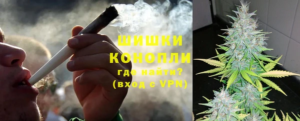 шишки Нея